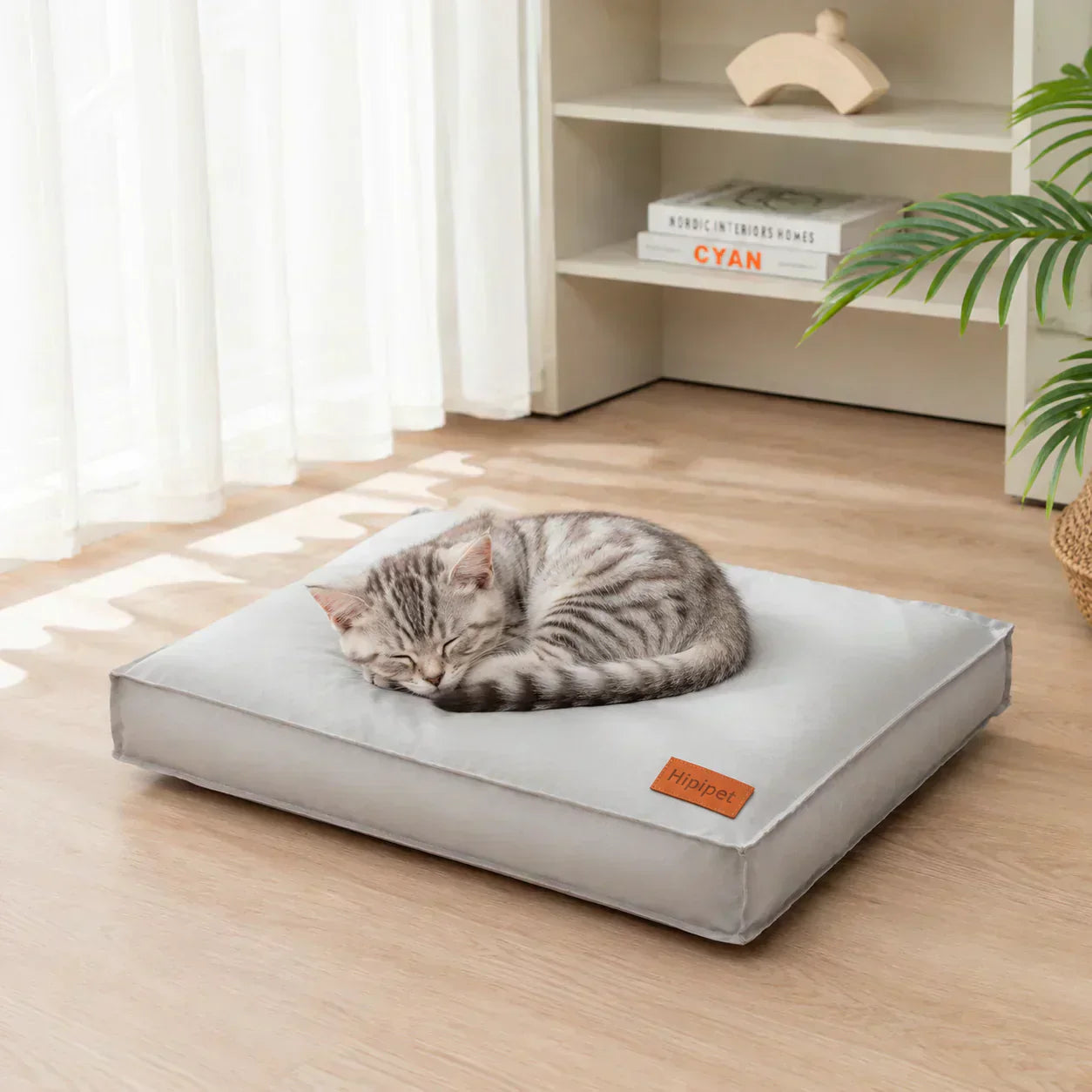 Pourquoi choisir un matelas imperméable pour votre compagnon