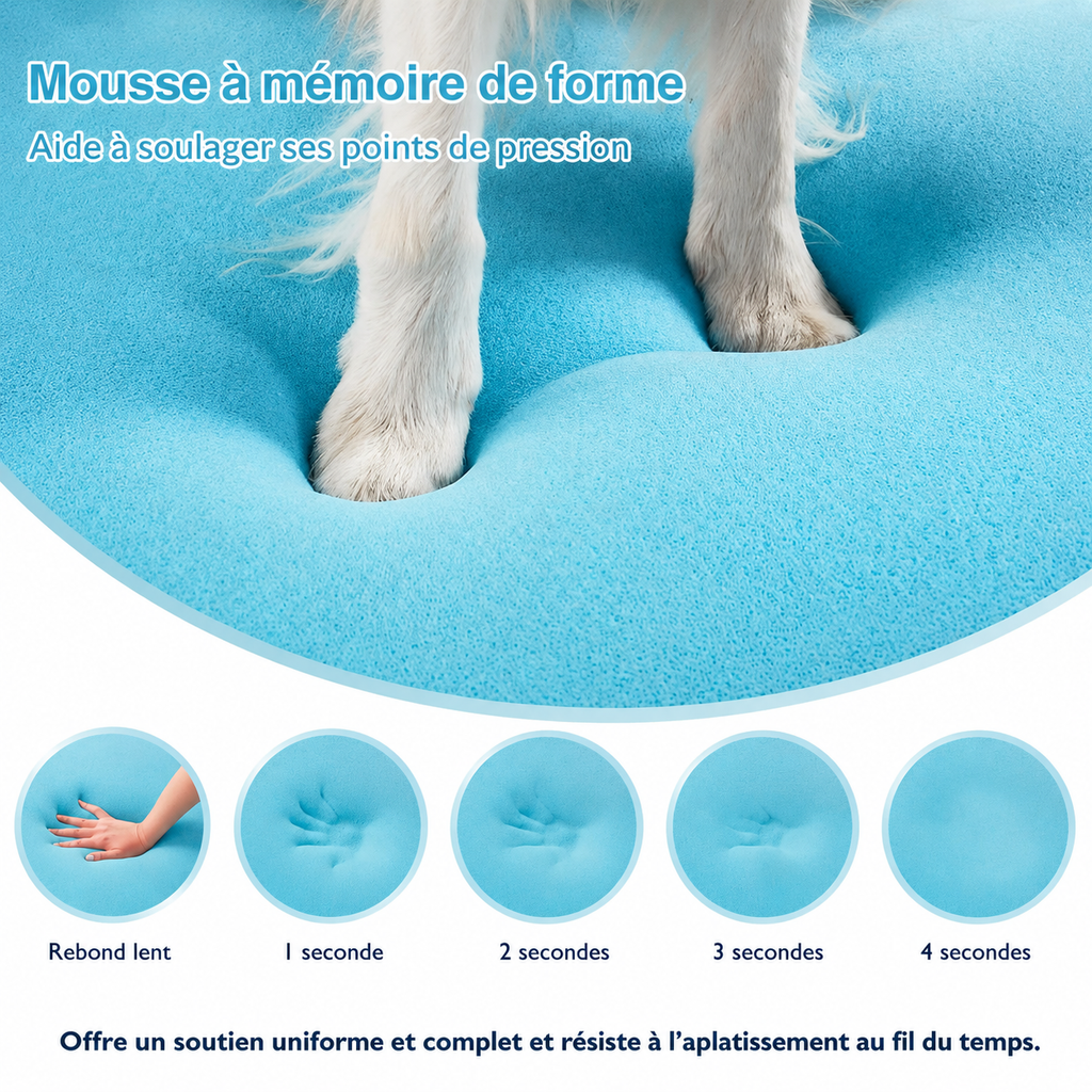 Pawluxe