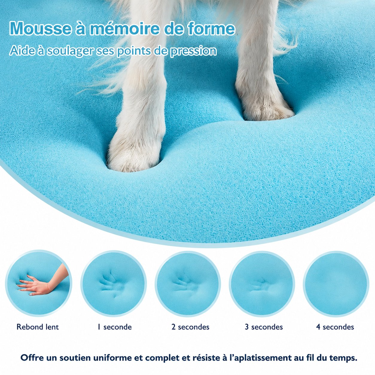 Pawluxe