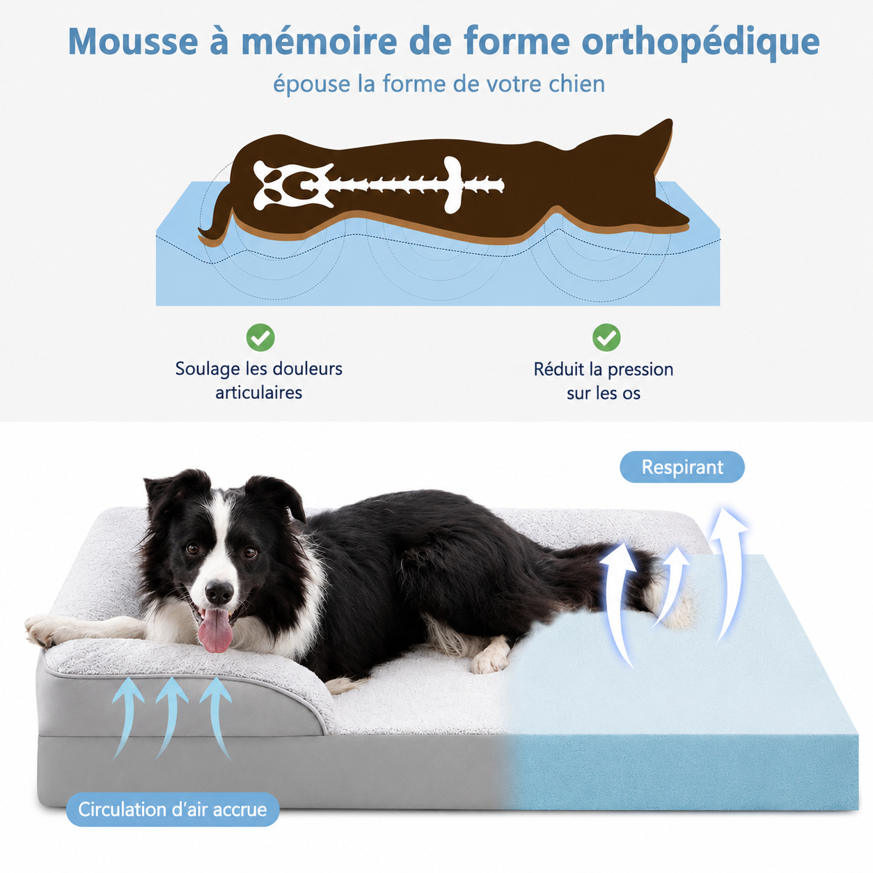Pawluxe