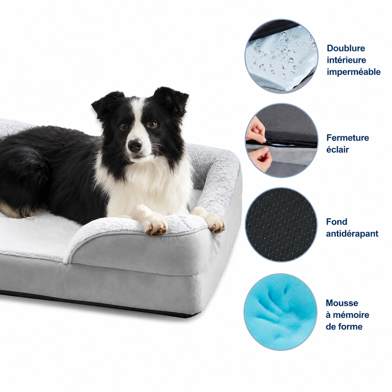 Pawluxe